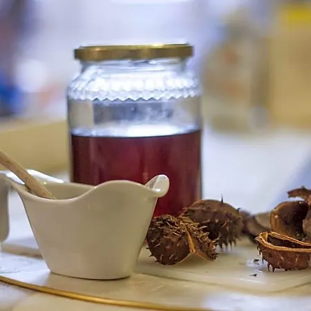 Il Ciottolo فندق مبيت وإفطار جنوة